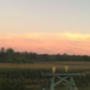 Meet your Posher, Caelan